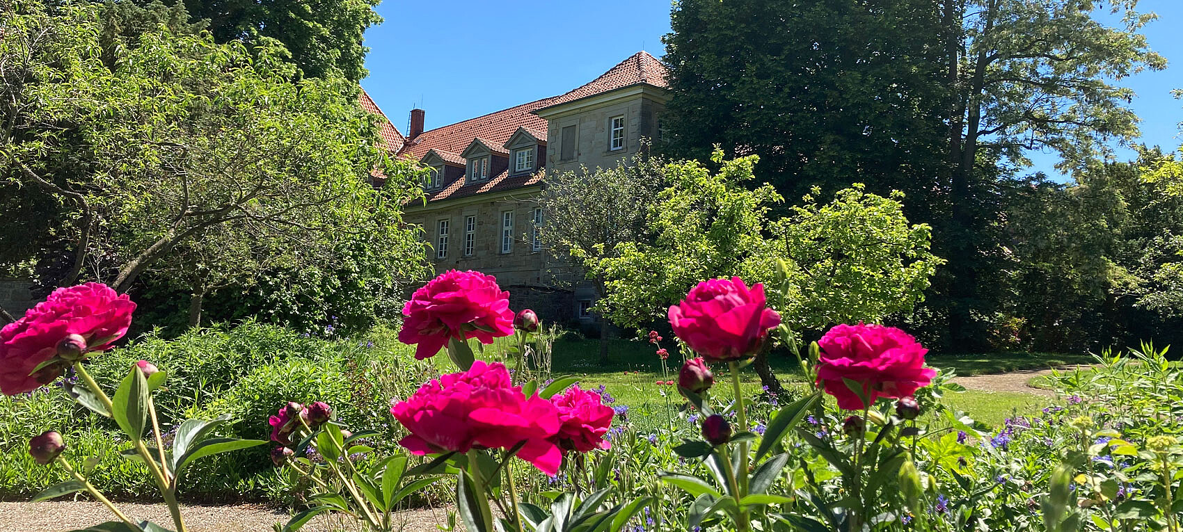 Blick vom Klostergarten auf das Konventgebäude. Foto: Dr. Henrike Wahl