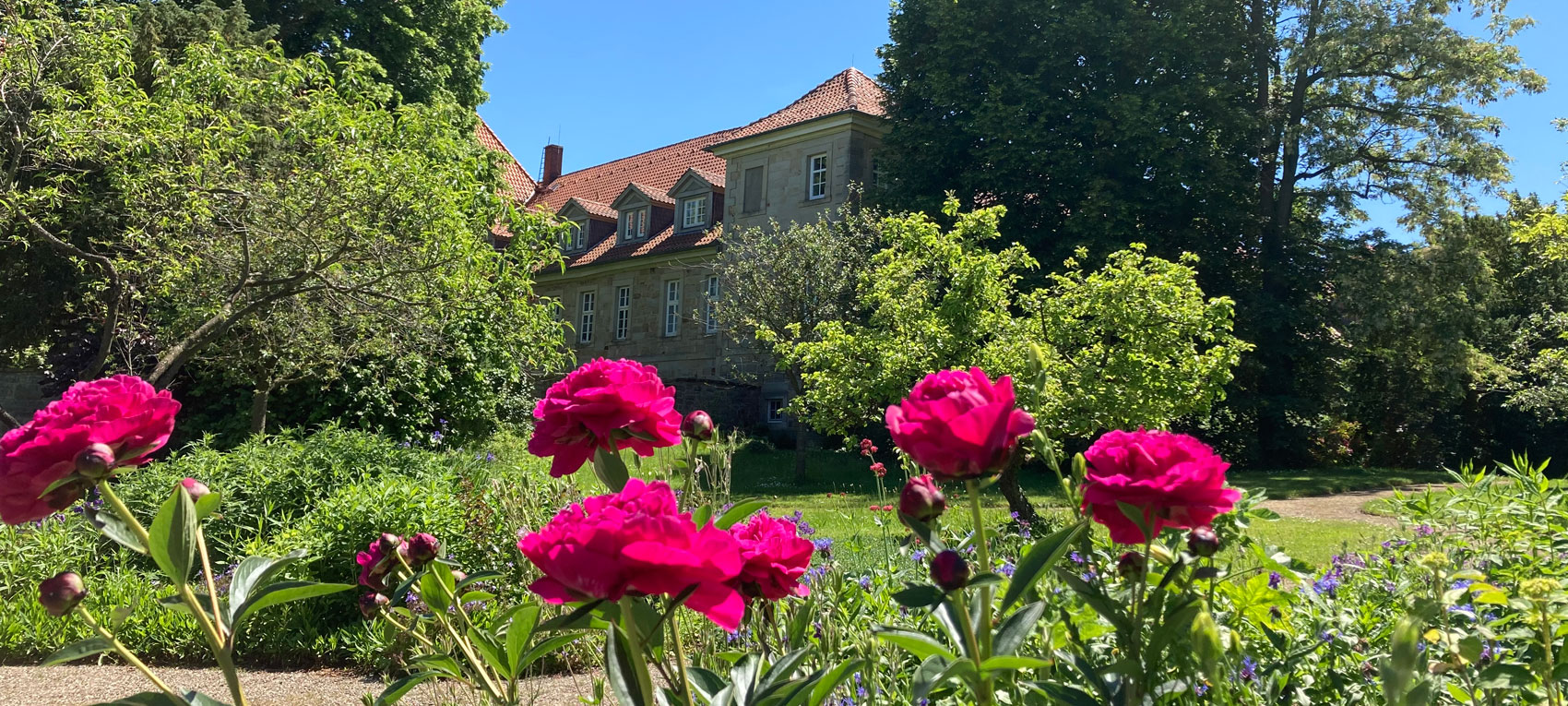 Blick vom Klostergarten auf das Konventgebäude. Foto: Dr. Henrike Wahl